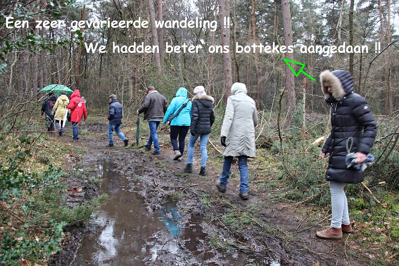 MG Winterwandeling_ (116).JPG
